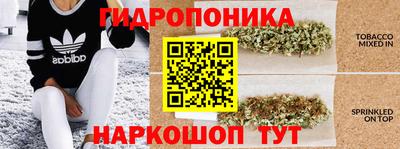 PSILOCYBIN Кингисепп